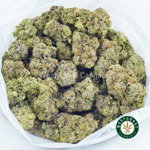 Buy Cannabis Bad Betty at Wccannabis Online Shop