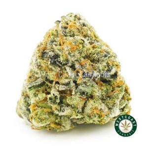 Buy Cannabis High Octane OG at Wccannabis Online Shop