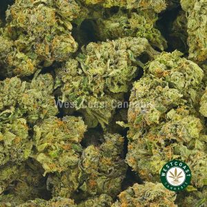 Buy Cannabis Hulkamania at Wccannabis Online Shop