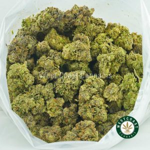 Buy Cannabis Hulkamania at Wccannabis Online Shop