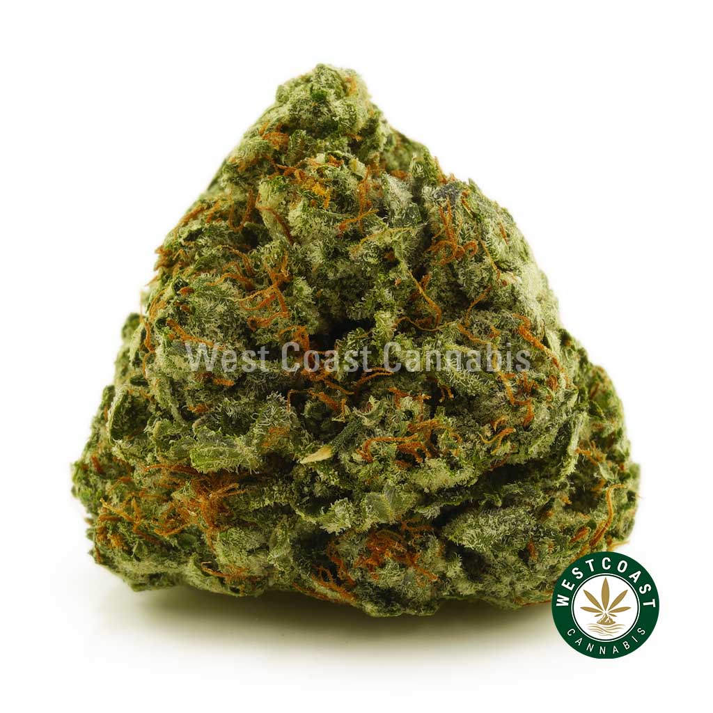Buy Cannabis Bubba Fresh at Wccannabis Online Shop