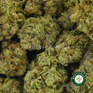 Buy Cannabis Pink Sunset at Wccannabis Online Shop