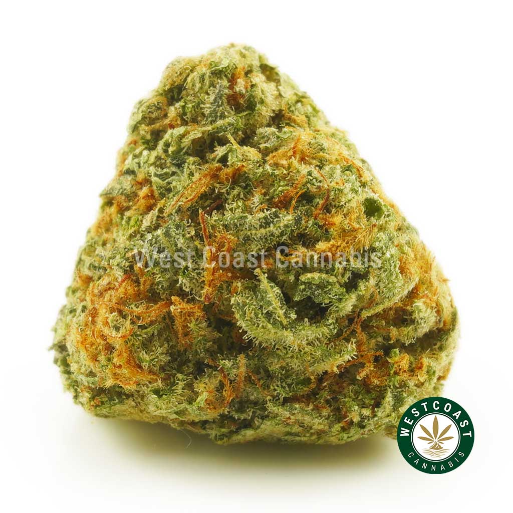 Buy Cannabis Sour Space Candy at Wccannabis Online Shop