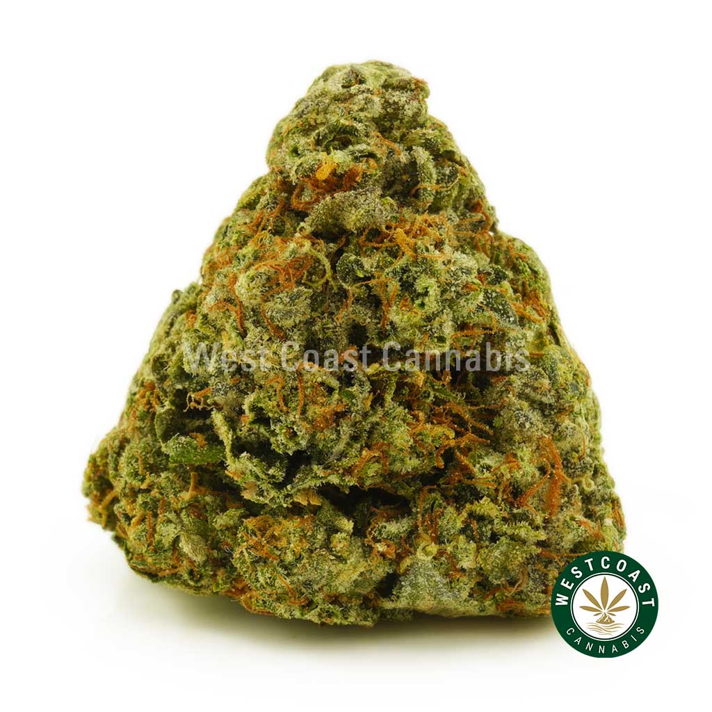 Pink Starburst Strain for sale online dispensary west coast cannabis. buy weed online cannabis canada.