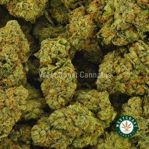 Buy Cannabis Pinkstar Burst at Wccannabis Online Shop