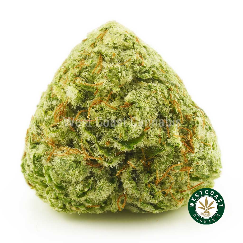 Buy Cannabis Alien Cookies Popcorn at Wccannabis Online Shop