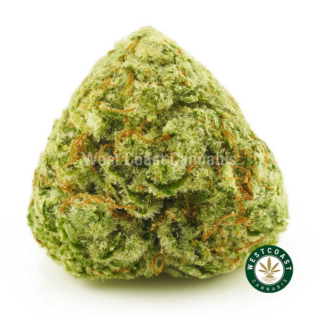 Buy Cannabis Blueberry Rockstar Popcorn at Wccannabis Online Shop