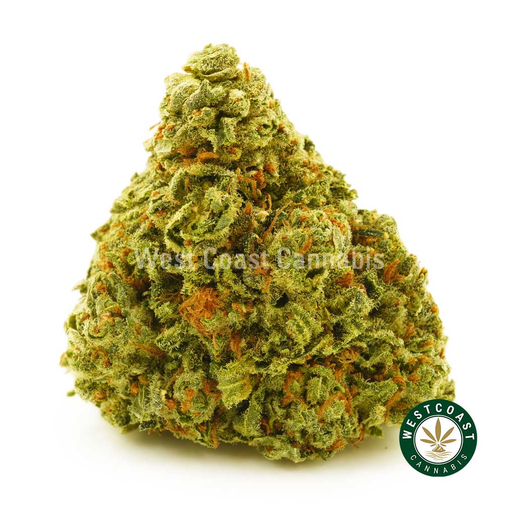 Buy Cannabis Green Punch at Wccannabis Online Shop