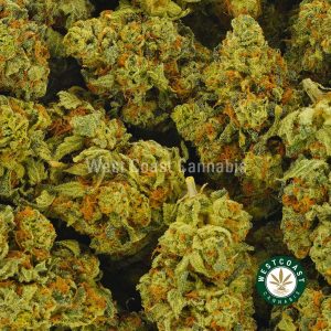 Buy Cannabis Green Punch at Wccannabis Online Shop