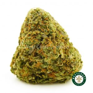 Buy Cannabis Candy Land at Wccannabis Online Shop