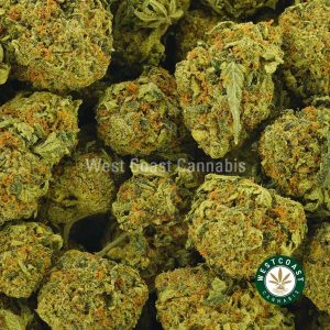 Buy Cannabis Tom Ford at Wccannabis Online Shop