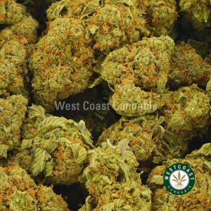 Buy Cannabis Kush Mint at Wccannabis Online Shop