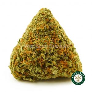 Buy Cannabis Pineapple Kush at Wccannabis Online Shop
