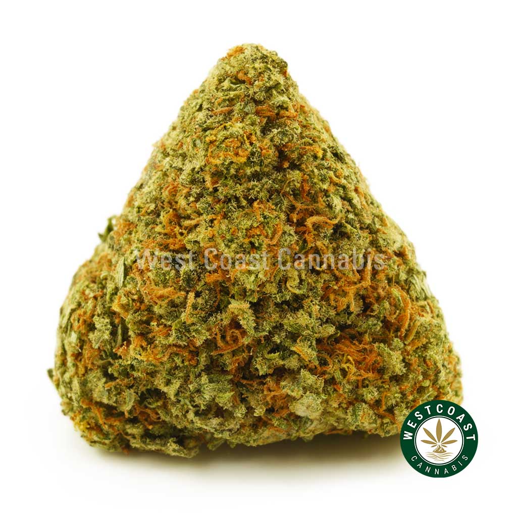 Buy Cannabis Pineapple Kush at Wccannabis Online Shop