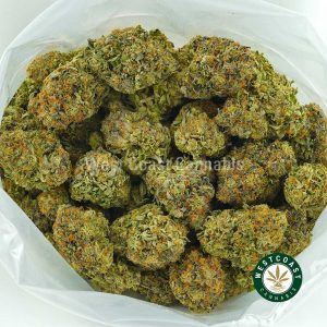 Buy Cannabis Rockstar Tuna at Wccannabis Online Shop