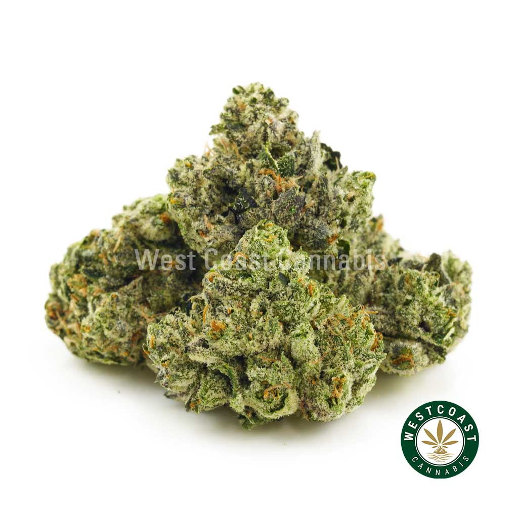 one nugget of Blue Fin Tuna Popcorn weed for sale online. Buy weed strains like gorilla glue strain, blue dream strain, gelato strain and northern lights weed at this online dispensary in Canada.