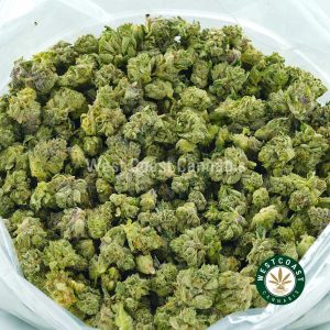 Blue Fin Tuna strain popcorn weed for sale online dispensary canada. Buy marijuana online at this mail order marijuana dispensary in Canada. Buy weed edibles here.