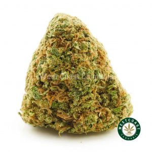 product photo of pineapple sage weed for sale online in canada fast shipping. Shop online dispensary in Canada no card. Order weed online. Super silver haze, indica strains, sativa strains for sale.