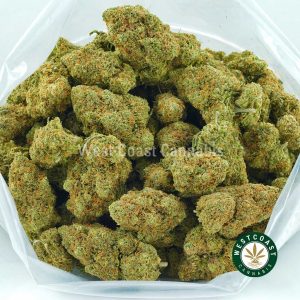 Pineapple Sage weed strain for sale online dispensary west coast cannabis. buy weed online in canada.