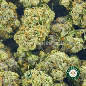 Buy Sour Diesel online cannabis canada. Order weed online and order pot online from wccannabis.co.
