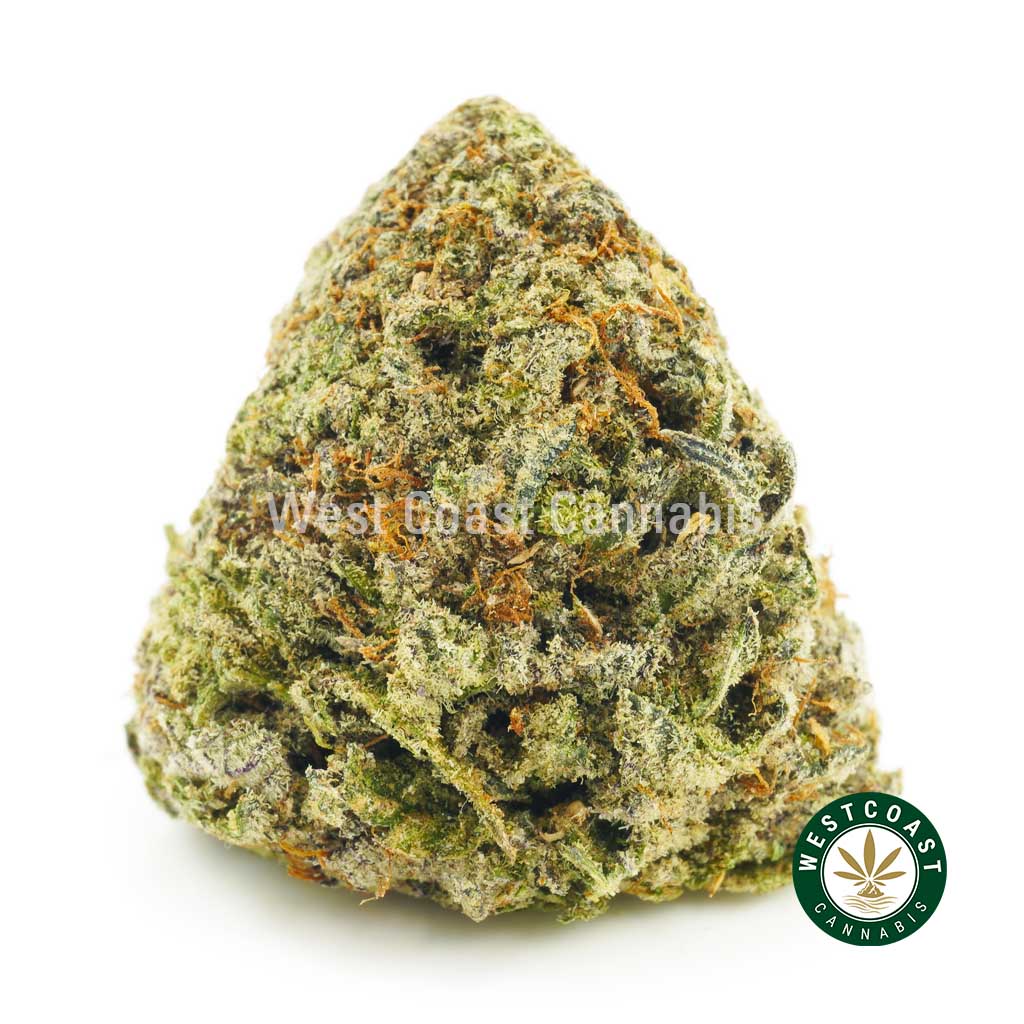 photo of Purple Gas strain from west coast cannabis BC online dispensary canada to buy weed online. buy online weeds.
