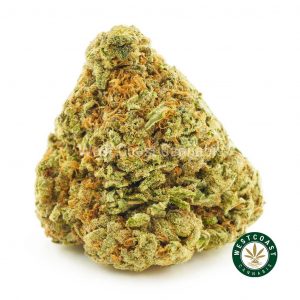 Buy Cannabis Berry Gelato at Wccannabis Online Shop
