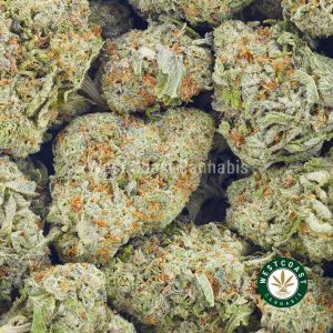 Buy Cannabis Durban Poison at Wccannabis Online Shop