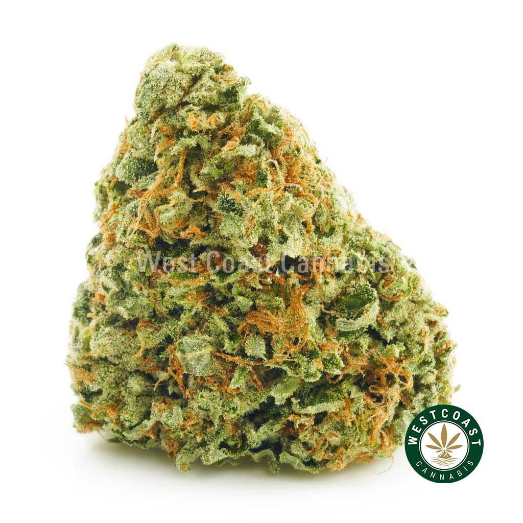 Buy Cannabis Purple Kush at Wccannabis Online Shop