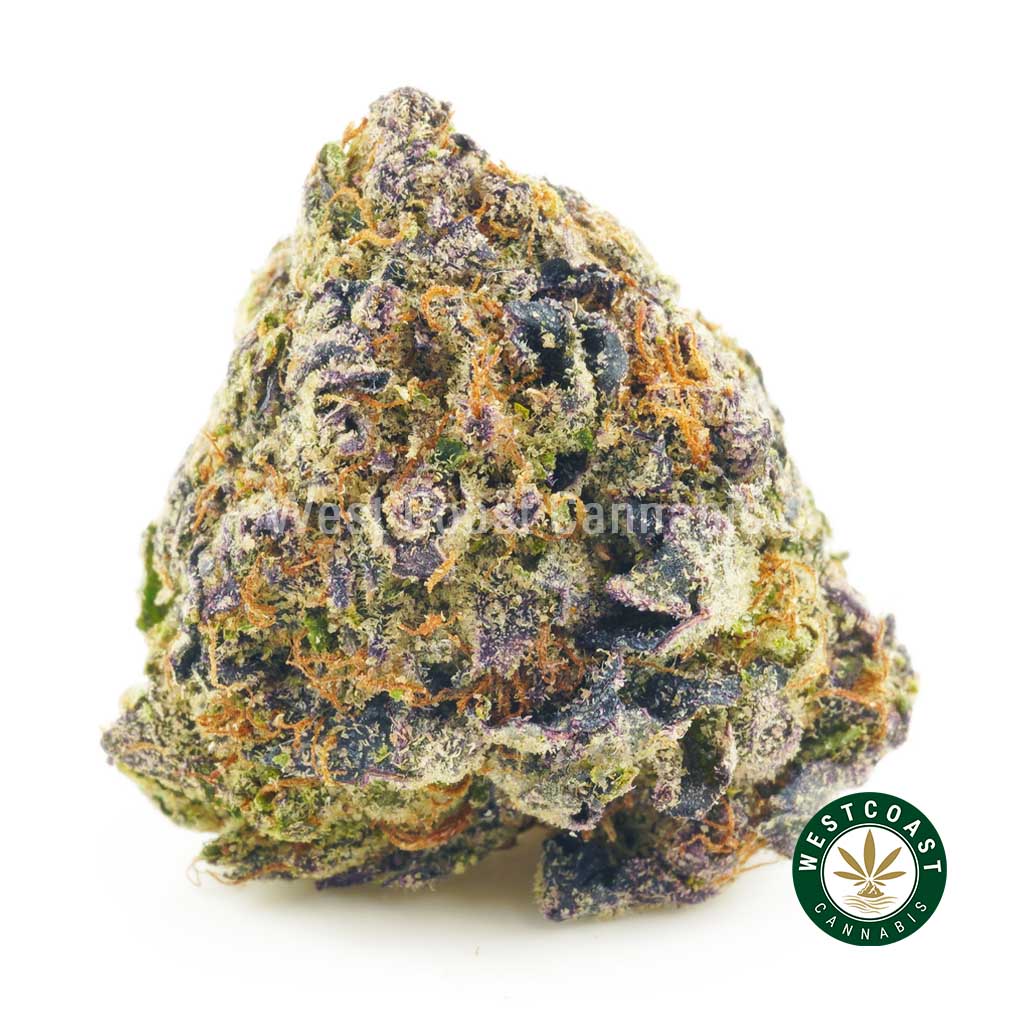 Cookie Monster weed strain for sale. Buy weed. Online dispensary. Mail order marijuana.