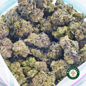 Buy Cookie Monster strain cannabis popcorn from west coast cannabis. Online dispensary in BC to buy weed.