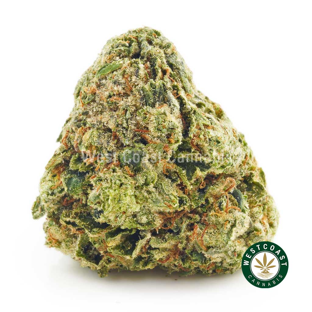 Buy Cannabis Pine Tar at Wccannabis Online Shop