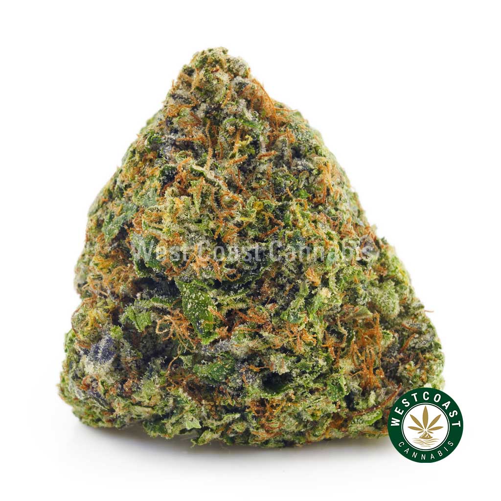 get weed online Jet Fuel strain at west coast cannabis canada. online dispensary canada. order weed online.