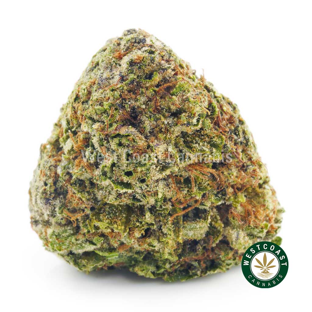 Buy weed online Pink Bubba strain from mail order marijuana online dispensary west coast cannabis canada. buy online weeds.