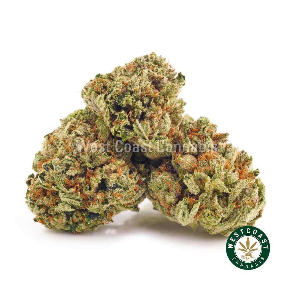 Rockstar weed strain buds. Order weed online Rockstar Kush at West Coast Cannabis mail order marijuana online dispensary.