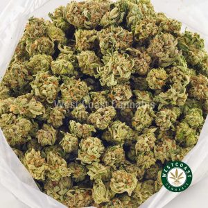 Rockstar Kush strain cannabis popcorn weed buds from West Coast Cannabis online dispensary to buy weed online.