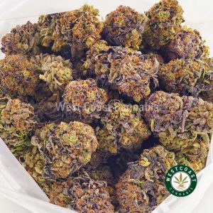 Buy Cannabis Kush Breath at Wccannabis Online Shop