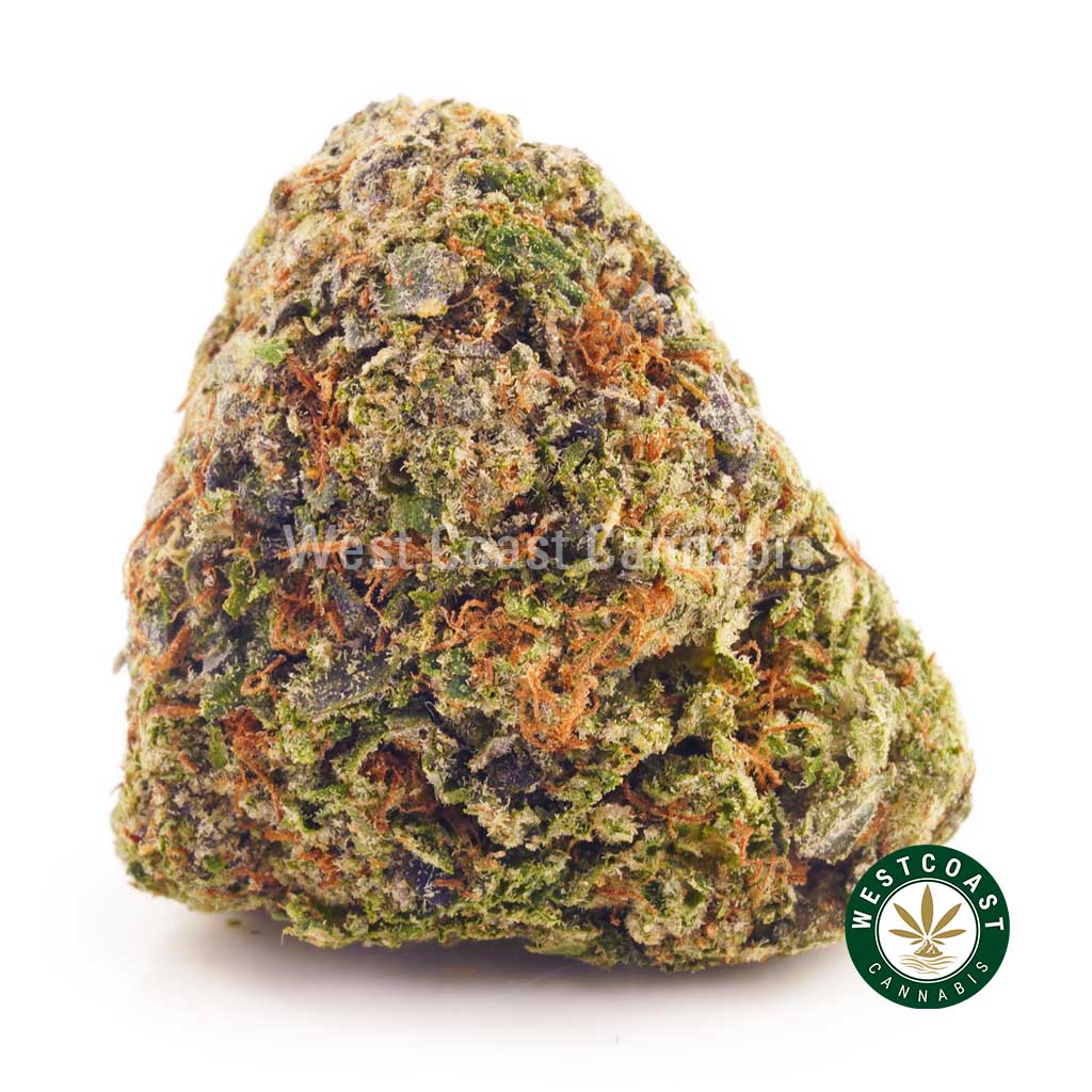 sweet harlem diesel budgetbuds. best dispenseries for BC cannabis and hash online. weed delivery canada.