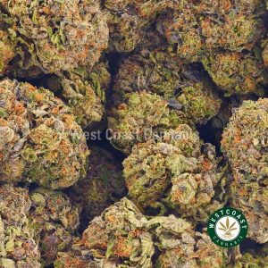 Buy weed sweet harlem diesel buds from wccannabis online weed dispensary & pot store. online dispensary canada. cannabis stores.