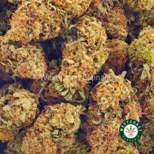 Buy Cannabis Slurmint at Wccannabis Online Shop