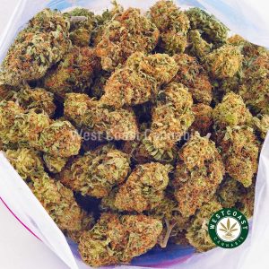 Buy Cannabis Slurmint at Wccannabis Online Shop