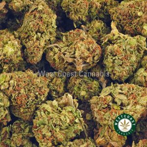 Buy Cannabis Tahoe OG at Wccannabis Online Shop