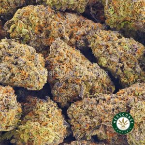 Buy Super Nuken strain online. Order weed online in Canada mail order marijuana dispensary.