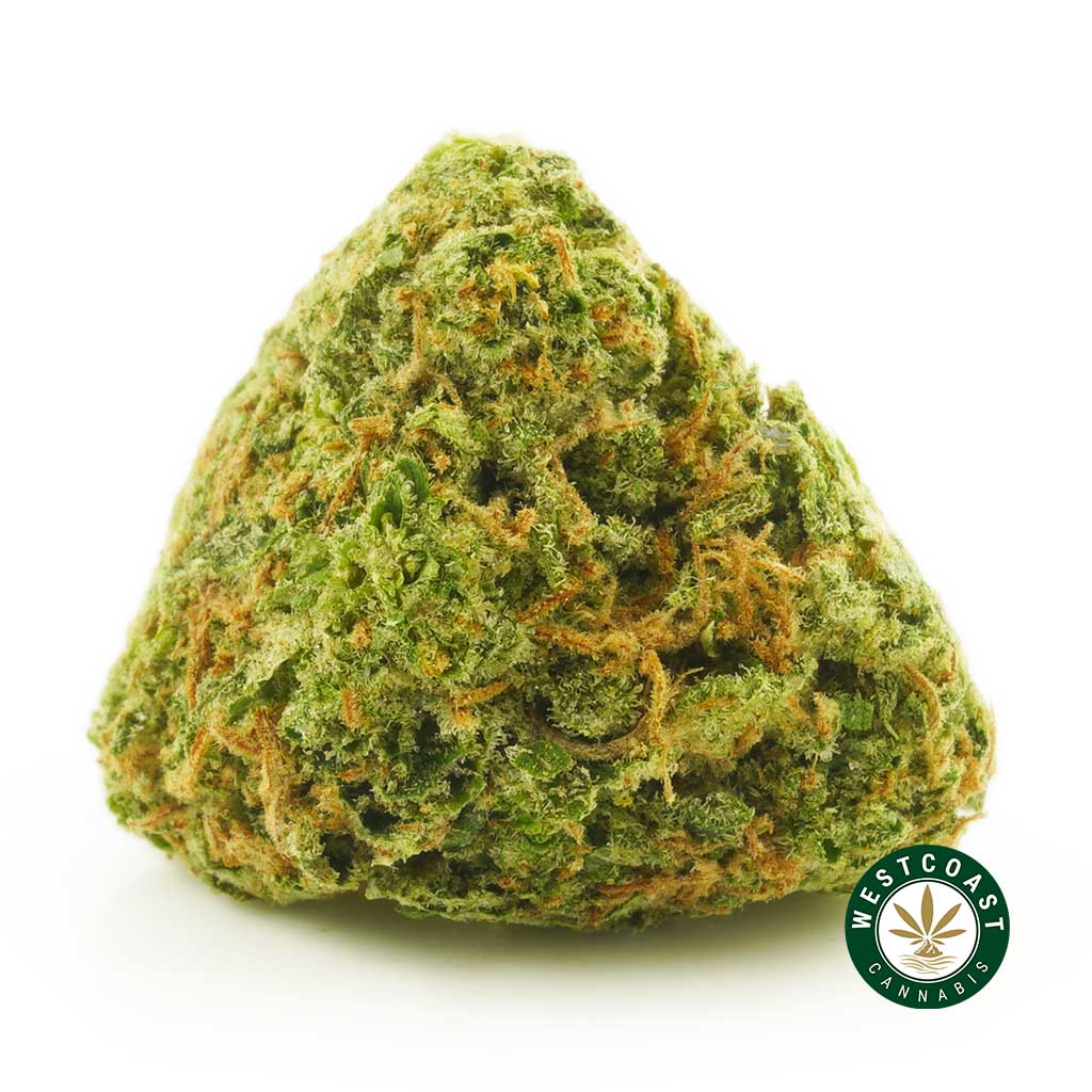 image of UK cheese bud weed for sale. granddaddy purple weed and death bubba weed strains for sale online. Order death bubba weed and the do si dos strain from west coast cannabis.
