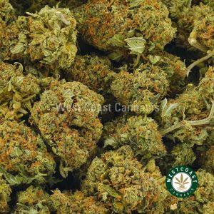 Buy Cannabis Sweet Tooth at Wccannabis Online Shop