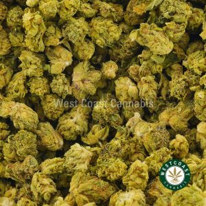 Buy Cannabis Alien Candy Popcorn at Wccannabis Online Shop