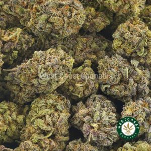Buy Cannabis Chemo Kush at Wccannabis Online Shop