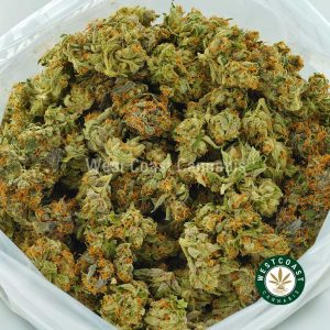 Buy Cannabis Moby Dick at Wccannabis Online Shop