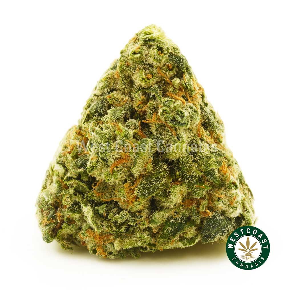 Buy Cannabis Super Bud at Wccannabis Online Shop