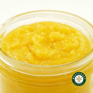 Gelato 33 weed for sale. Live resin from Gelato 33 for sale online dispensary canada. buy online weeds at the best online dispensary canada. purchase weed online canada.
