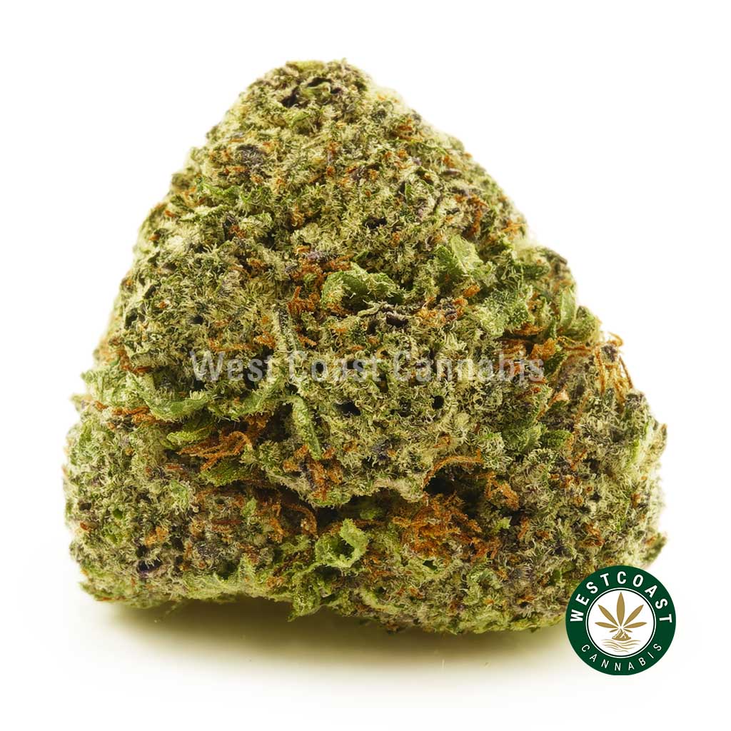 Image of Pink Champagne weed strain bud for sale online dispensary west coast cannabis. buy weed online canada.